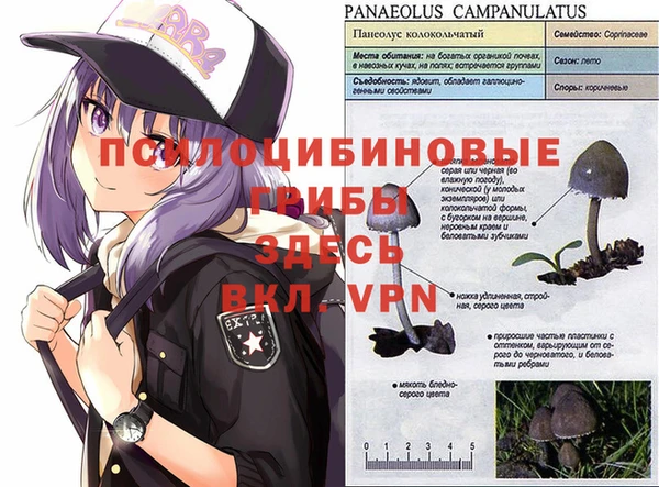 гашик Абдулино